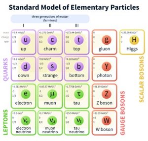 ذرات بنیادی در مدل استاندارد